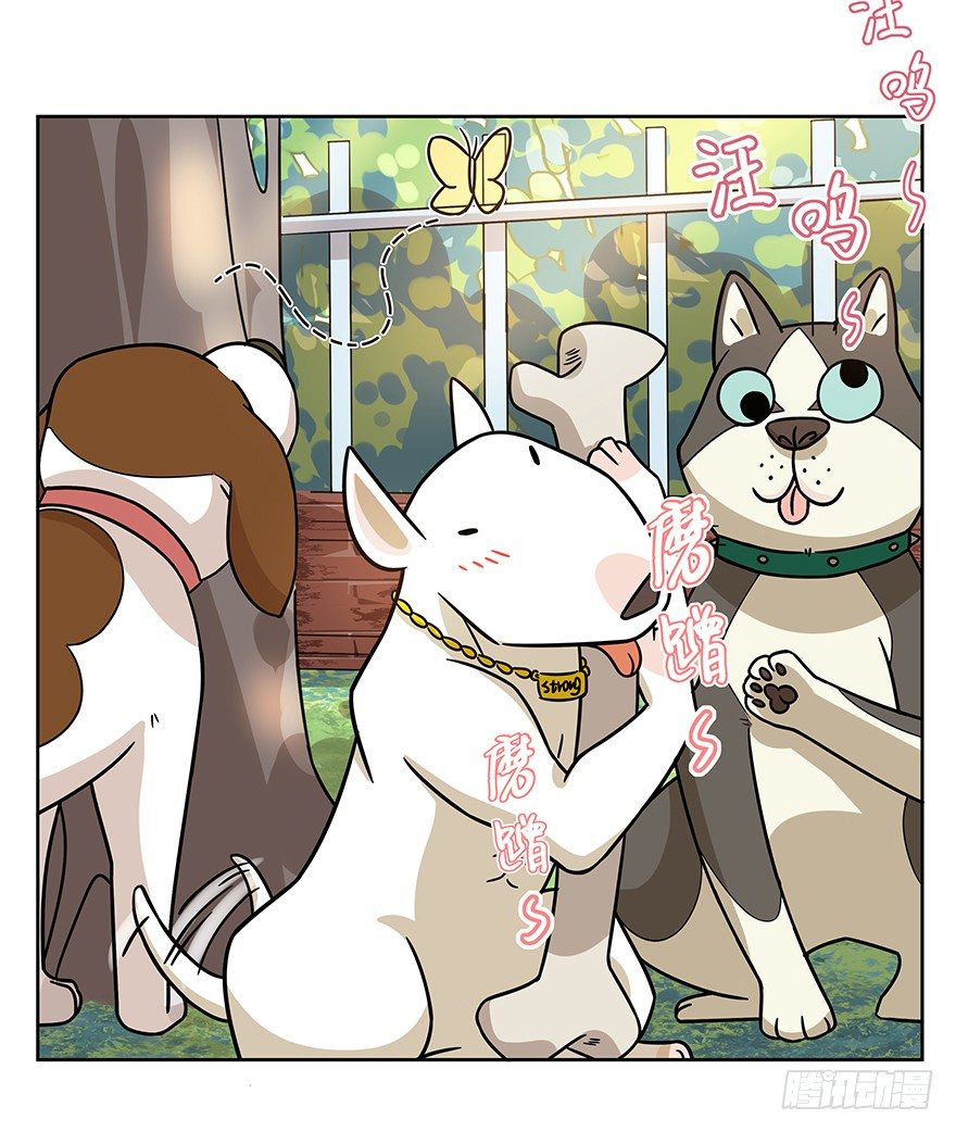 第98爪 告密（下）-第104话