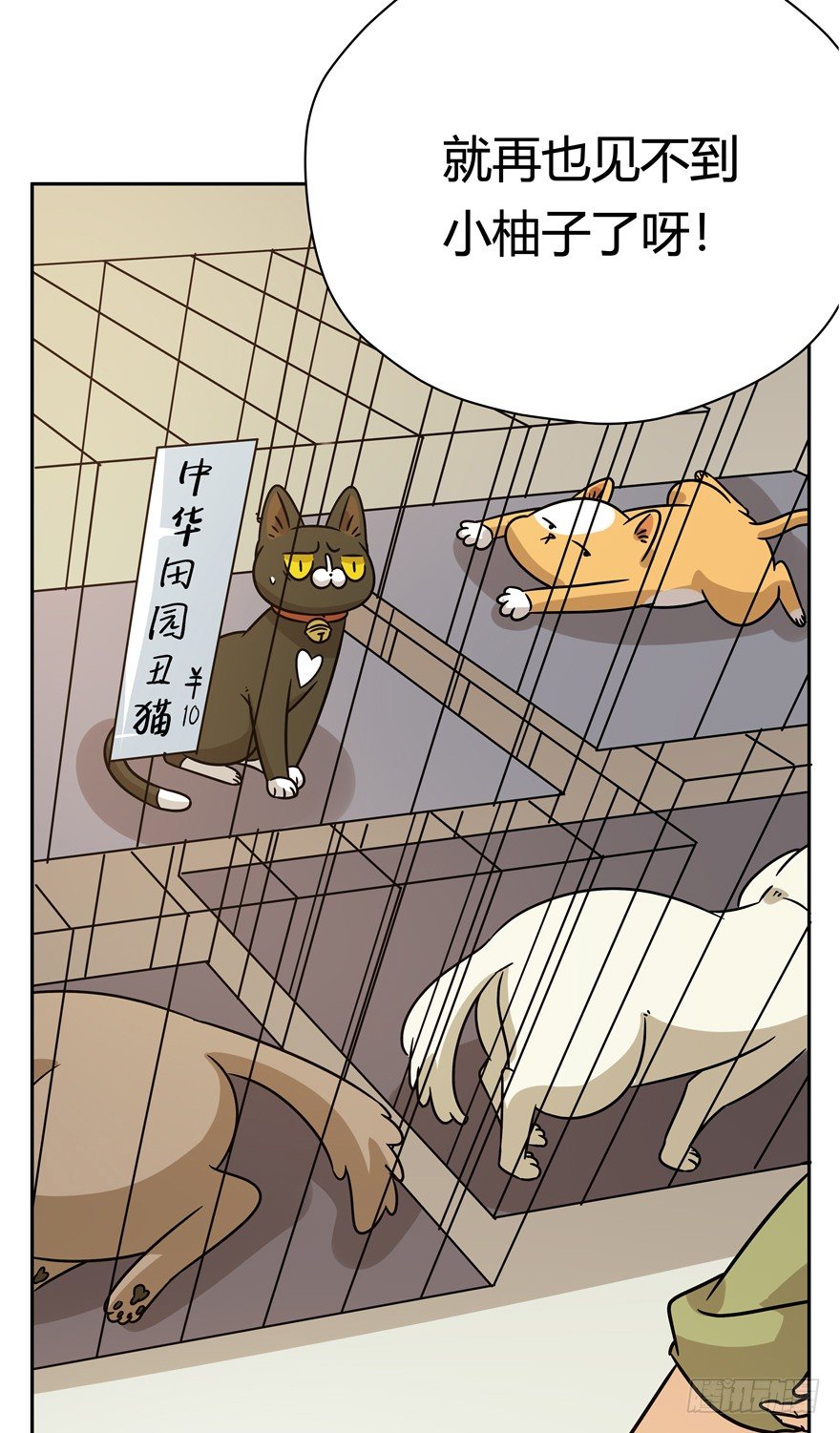 第100爪 黑炭的真相-第106话