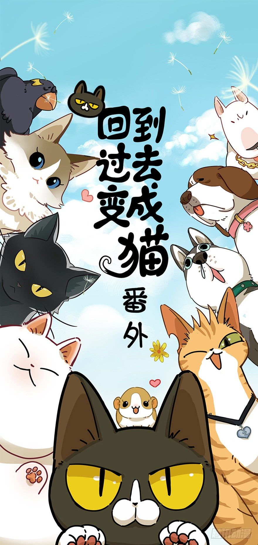 第12爪 番外 神秘的蛋嘴猫-第12话