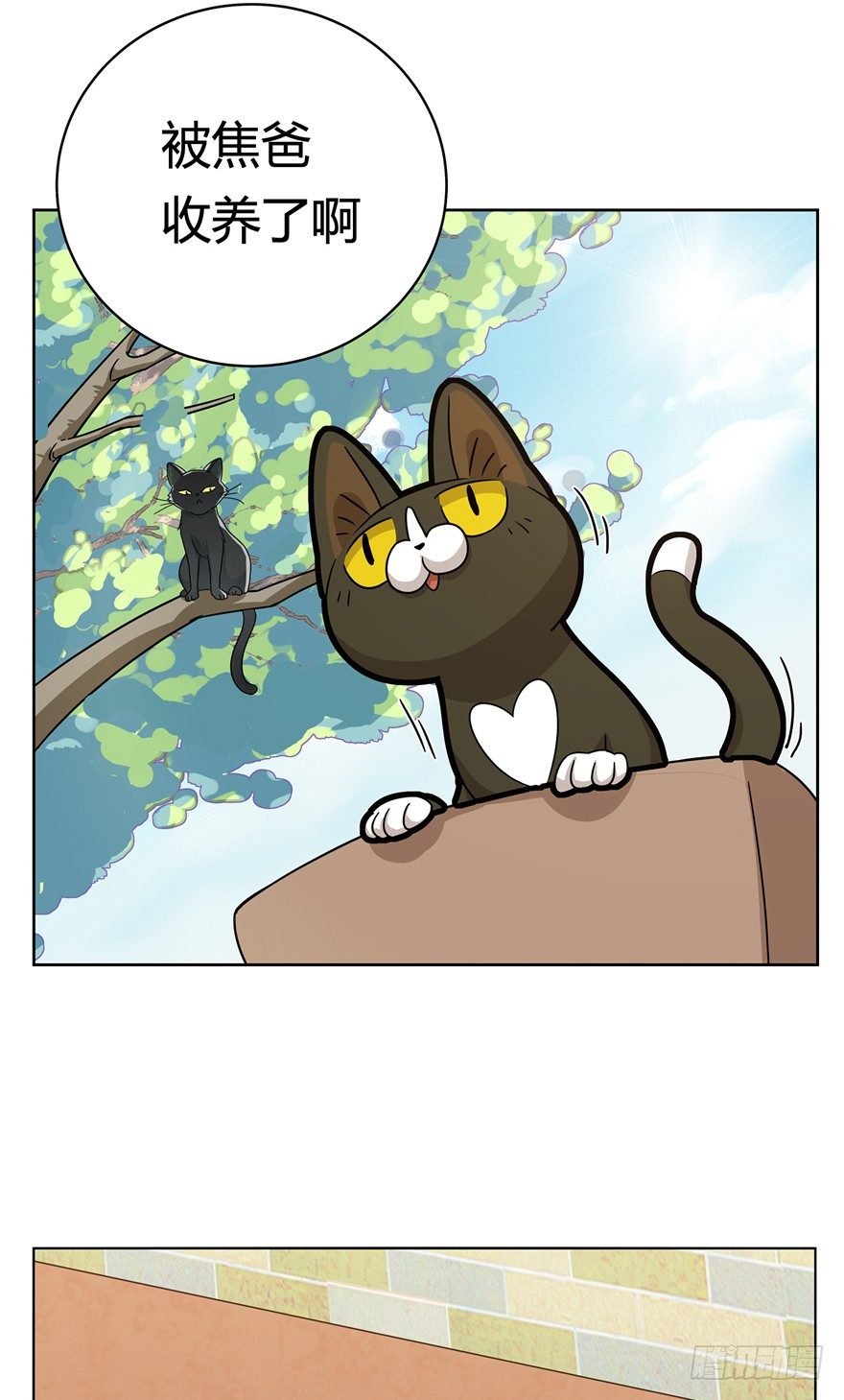 第12爪 番外 神秘的蛋嘴猫-第12话