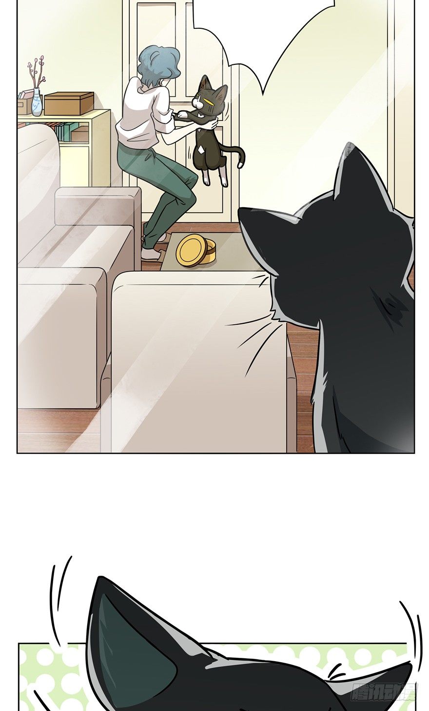 第12爪 番外 神秘的蛋嘴猫-第12话