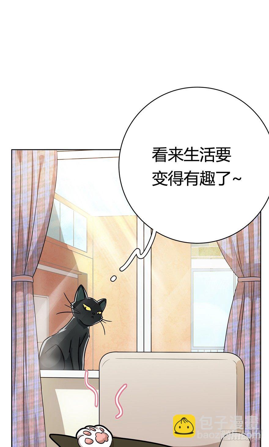 第12爪 番外 神秘的蛋嘴猫-第12话