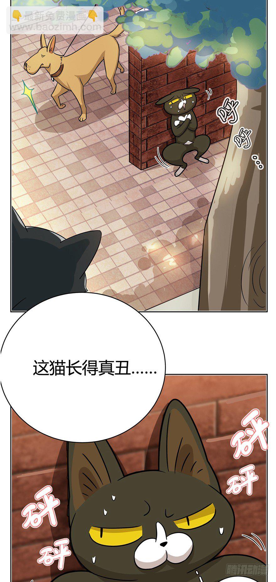 第12爪 番外 神秘的蛋嘴猫-第12话