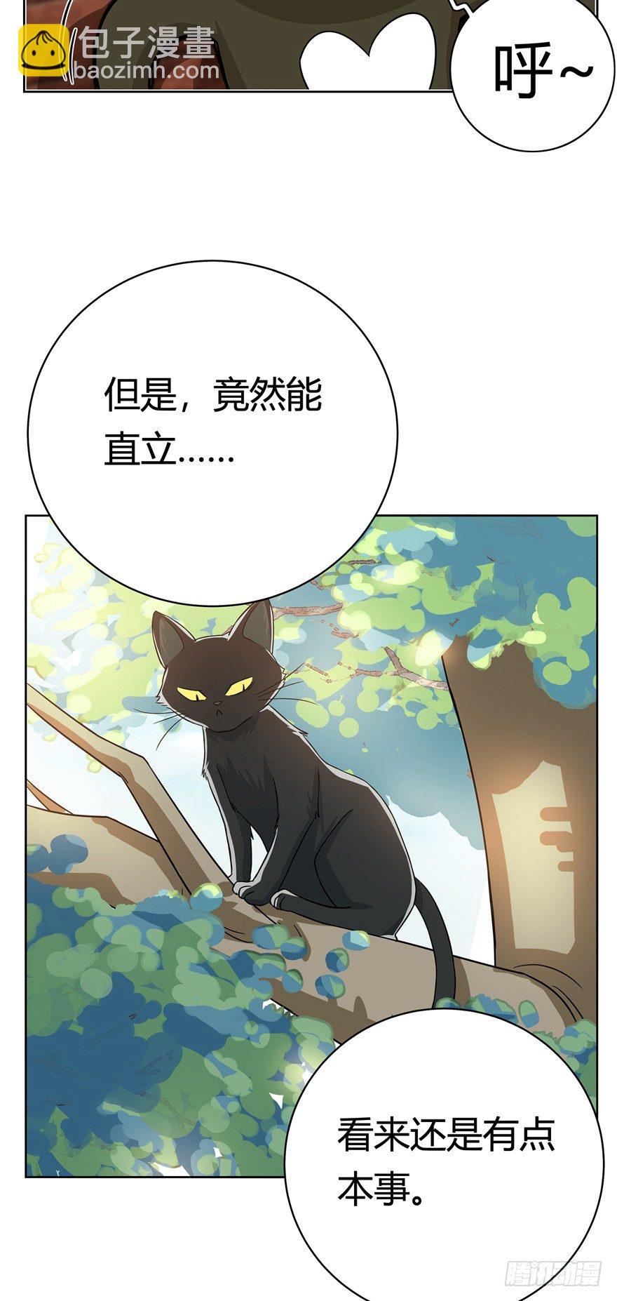 第12爪 番外 神秘的蛋嘴猫-第12话