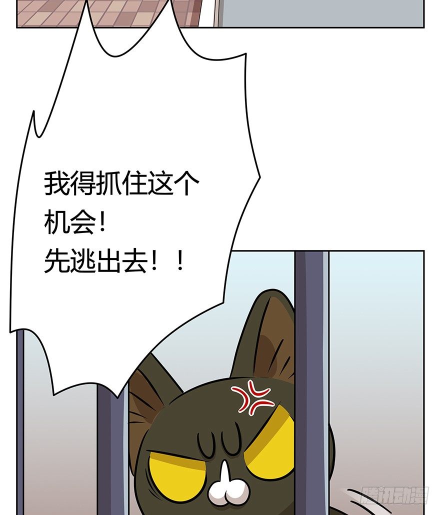 第112爪 不抛弃不放弃-第118话