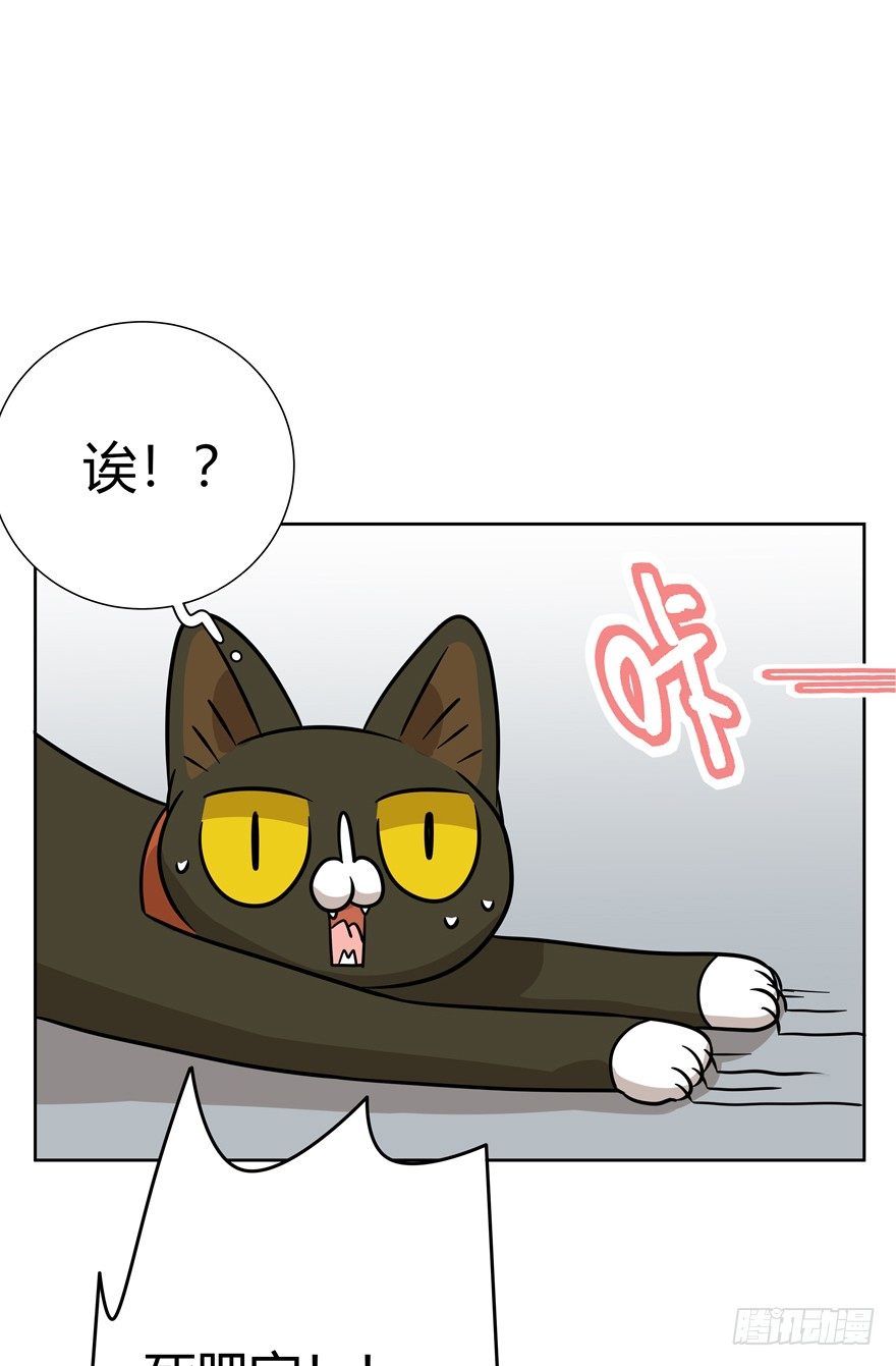第114爪 敏捷的胖子（下）-第120话