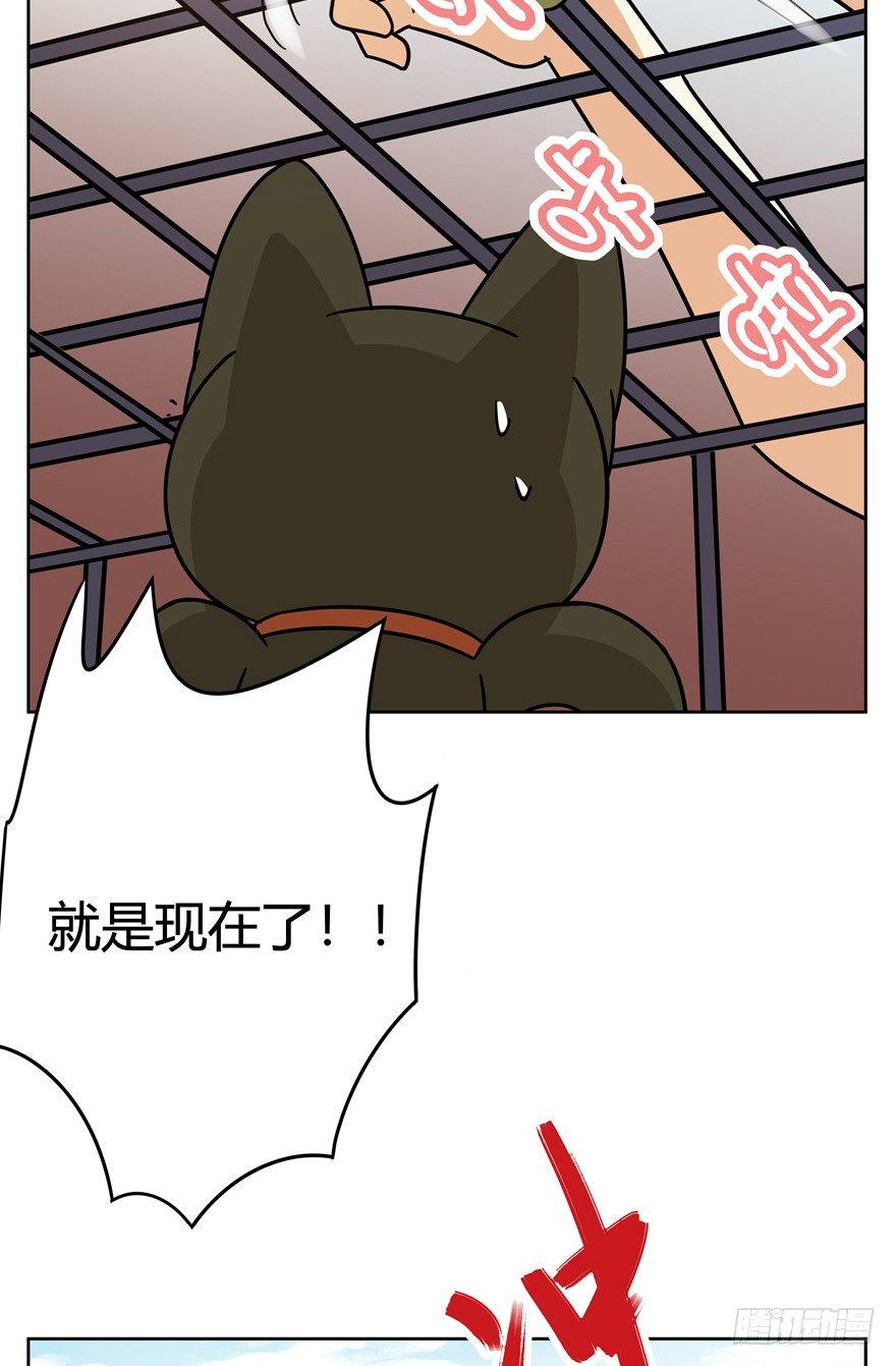 第114爪 敏捷的胖子（下）-第120话