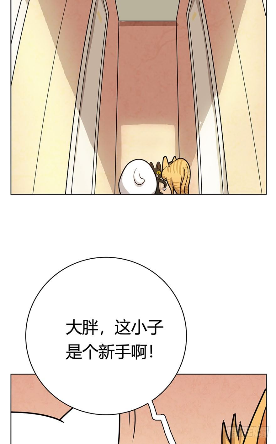 第14爪 服不服！-第14话