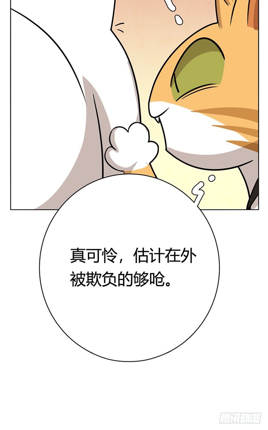 第14爪 服不服！-第14话