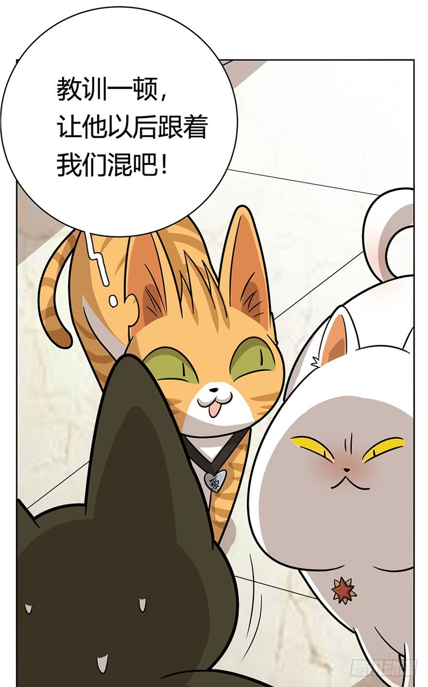 第14爪 服不服！-第14话