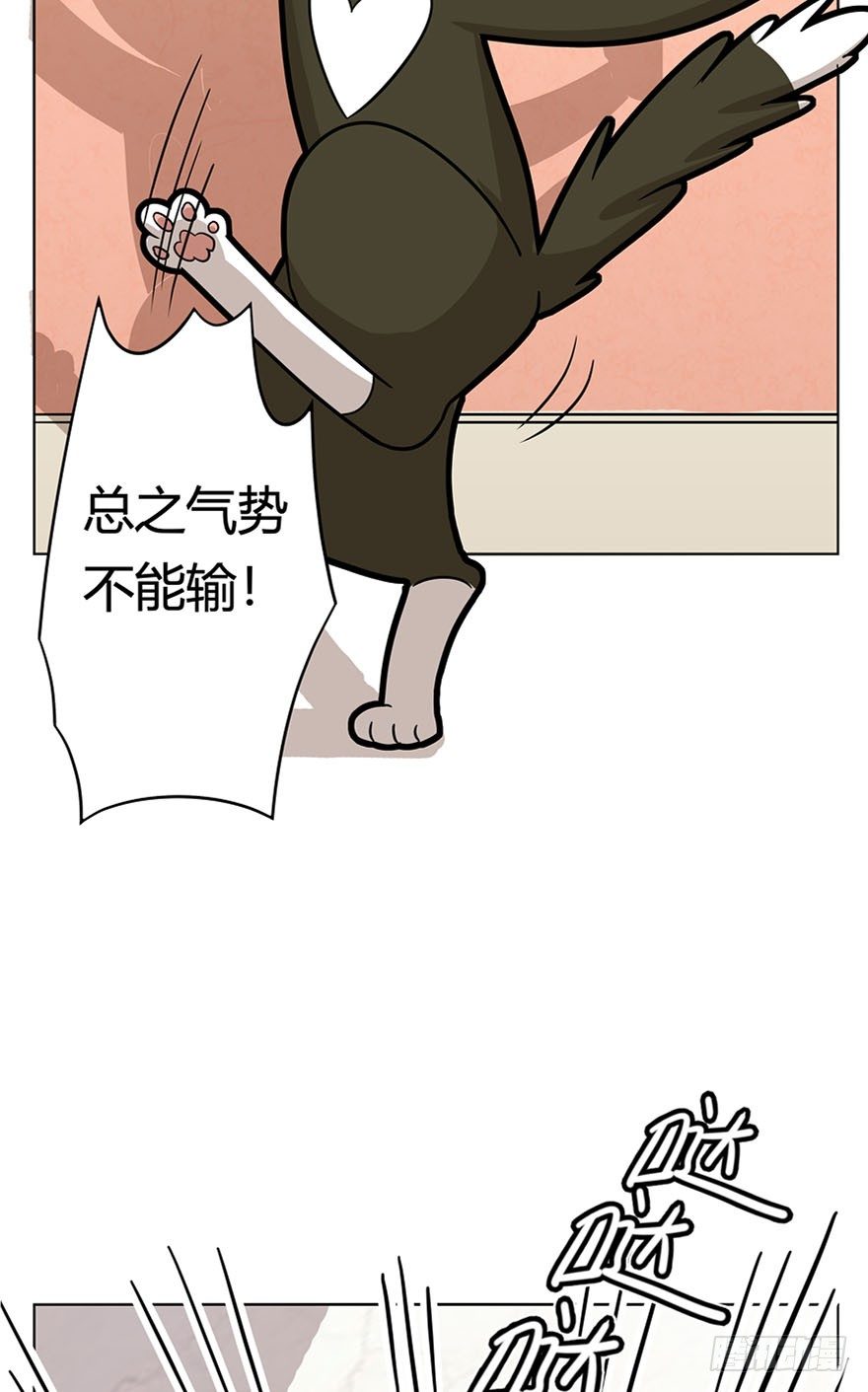 第14爪 服不服！-第14话