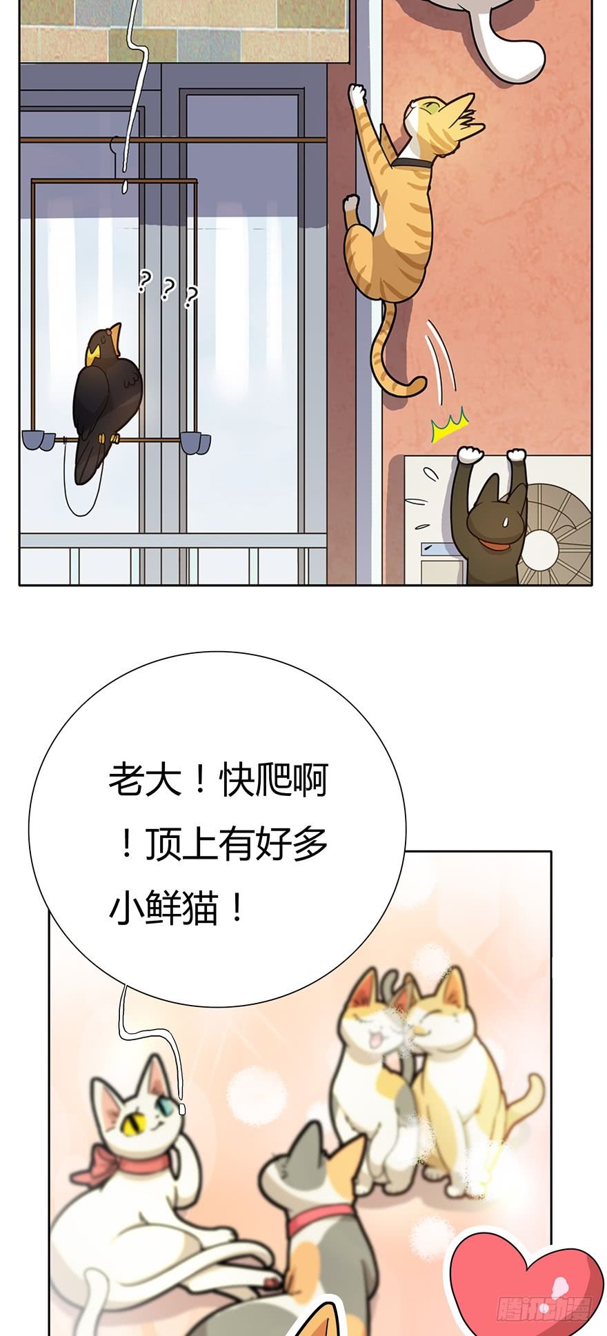 第16爪 是猫就跳100层-第16话