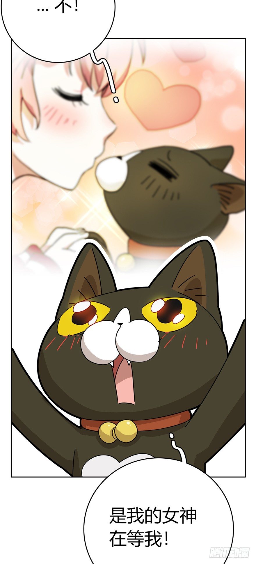 第16爪 是猫就跳100层-第16话