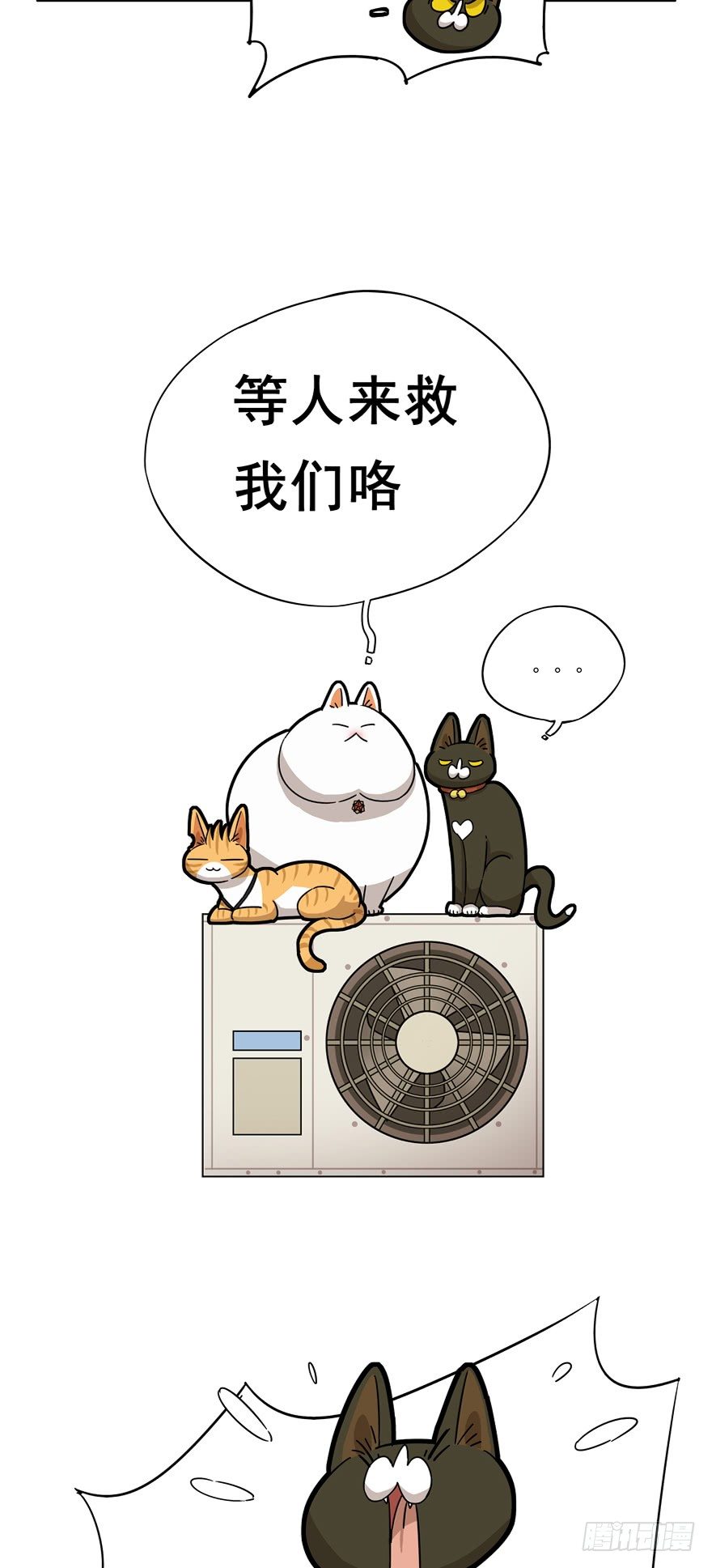 第16爪 是猫就跳100层-第16话