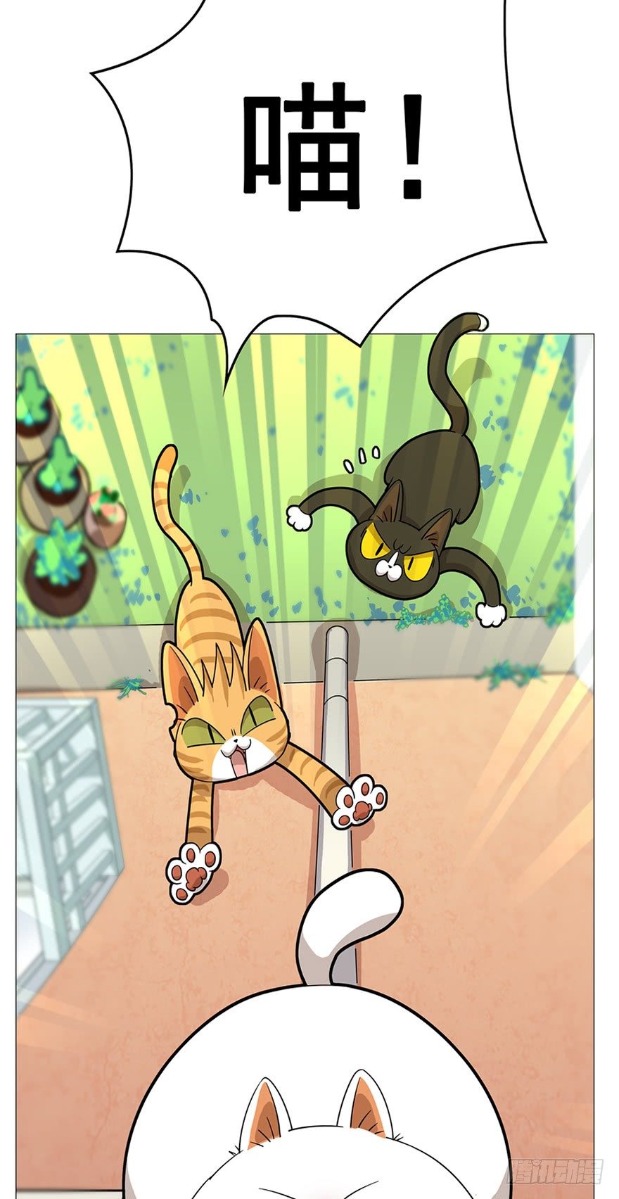第16爪 是猫就跳100层-第16话