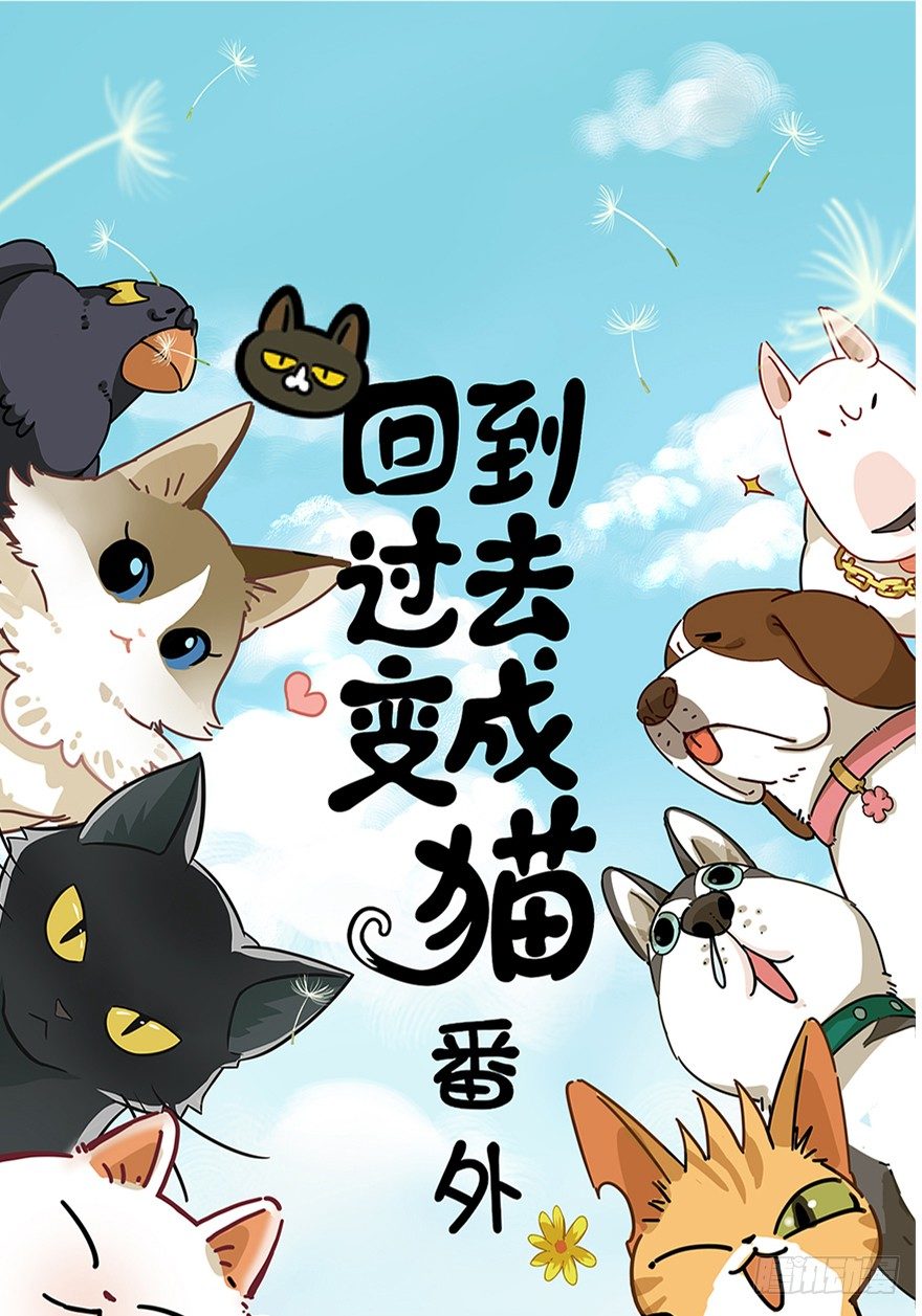 第18爪 猫生赢家（下）-第18话