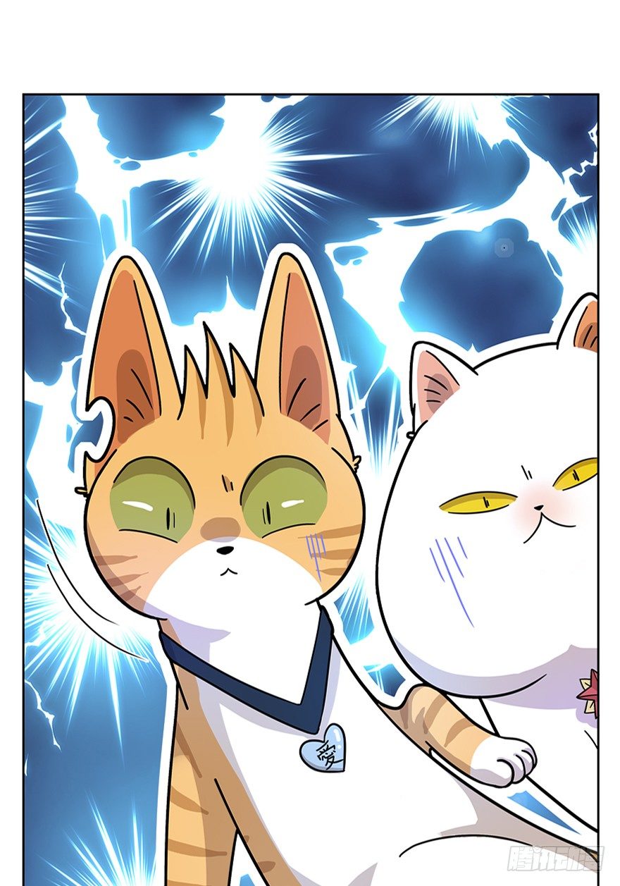 第18爪 猫生赢家（下）-第18话