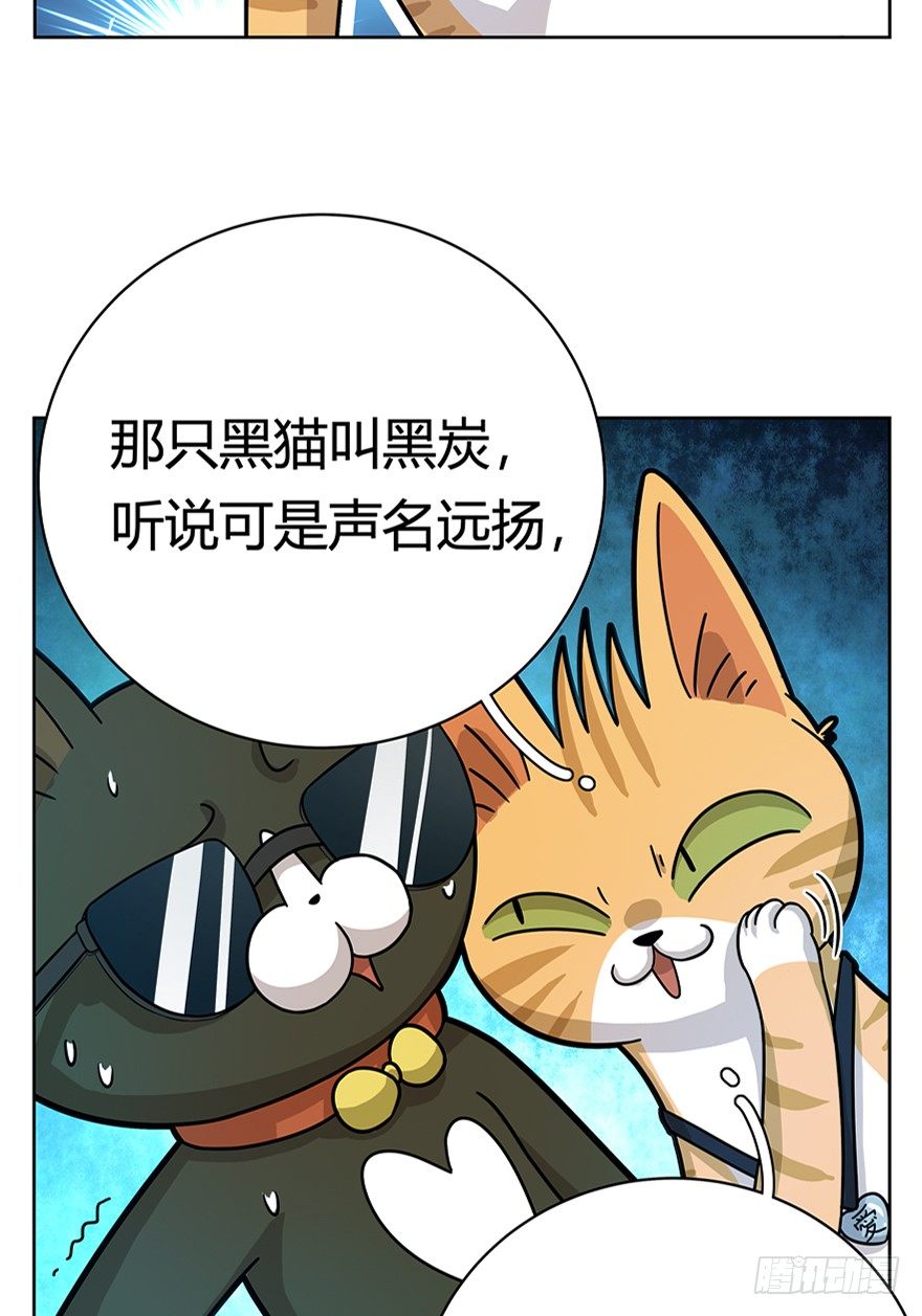 第18爪 猫生赢家（下）-第18话