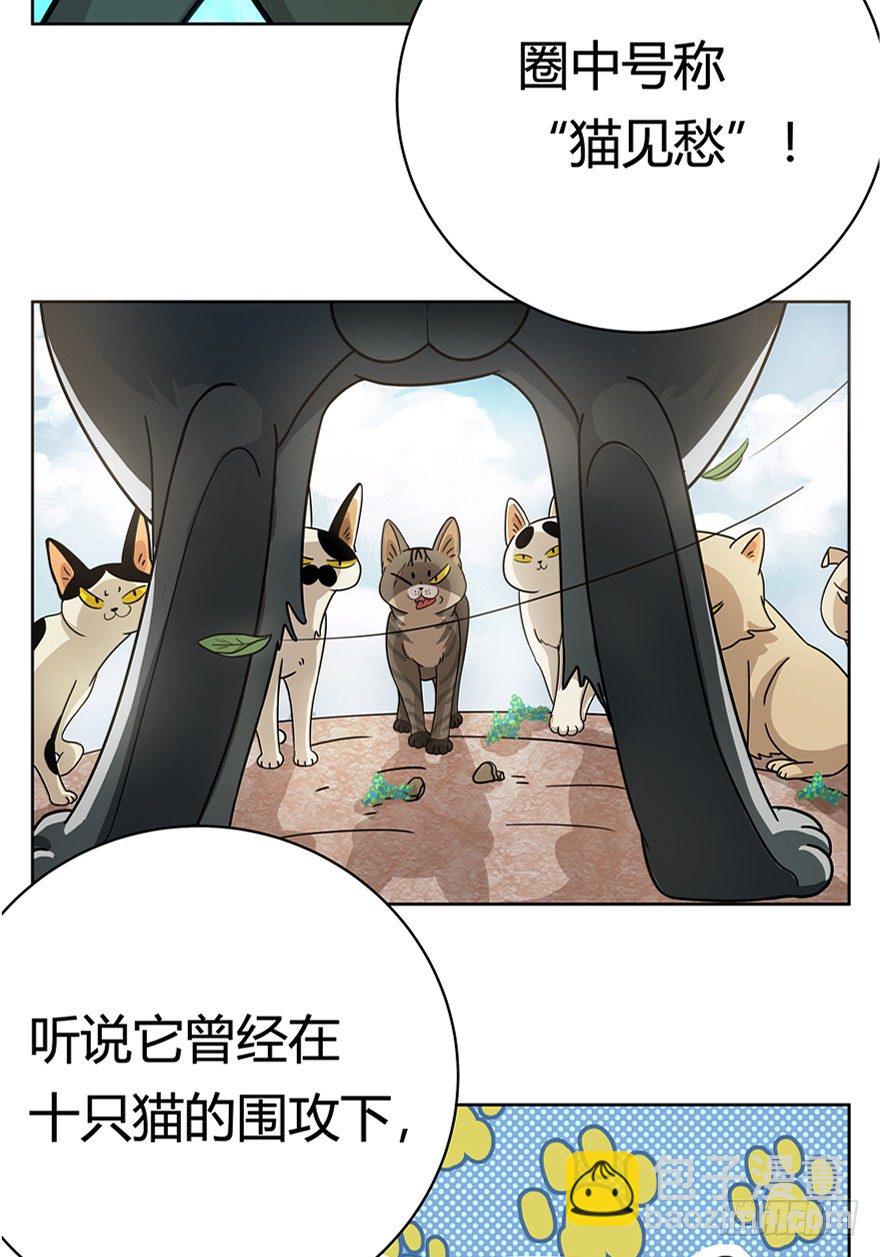 第18爪 猫生赢家（下）-第18话