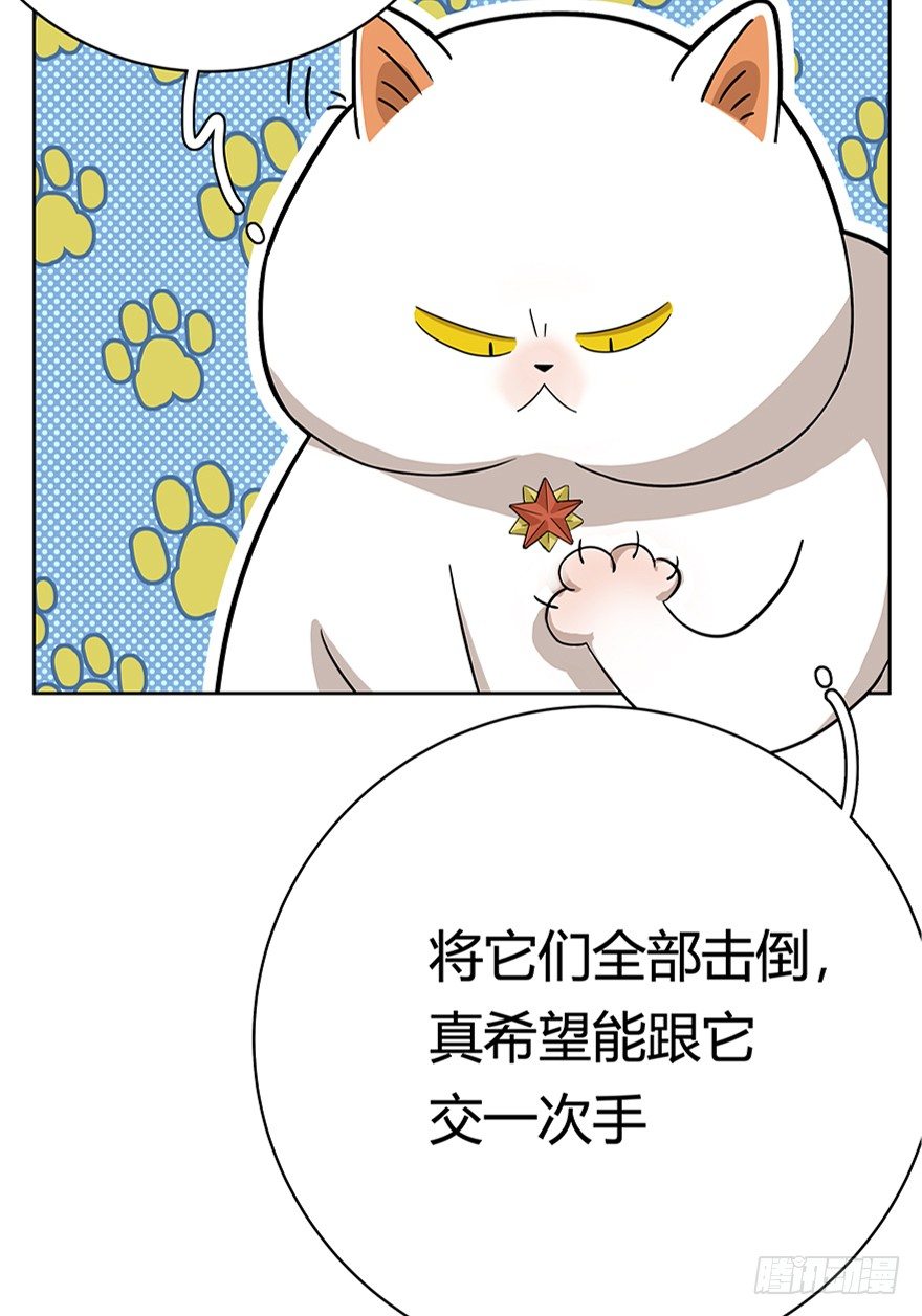 第18爪 猫生赢家（下）-第18话