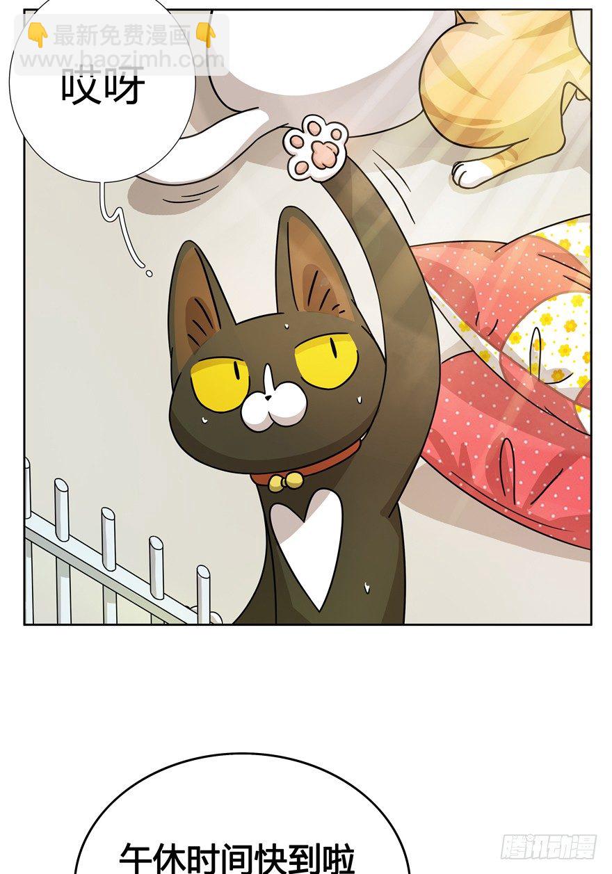 第18爪 猫生赢家（下）-第18话
