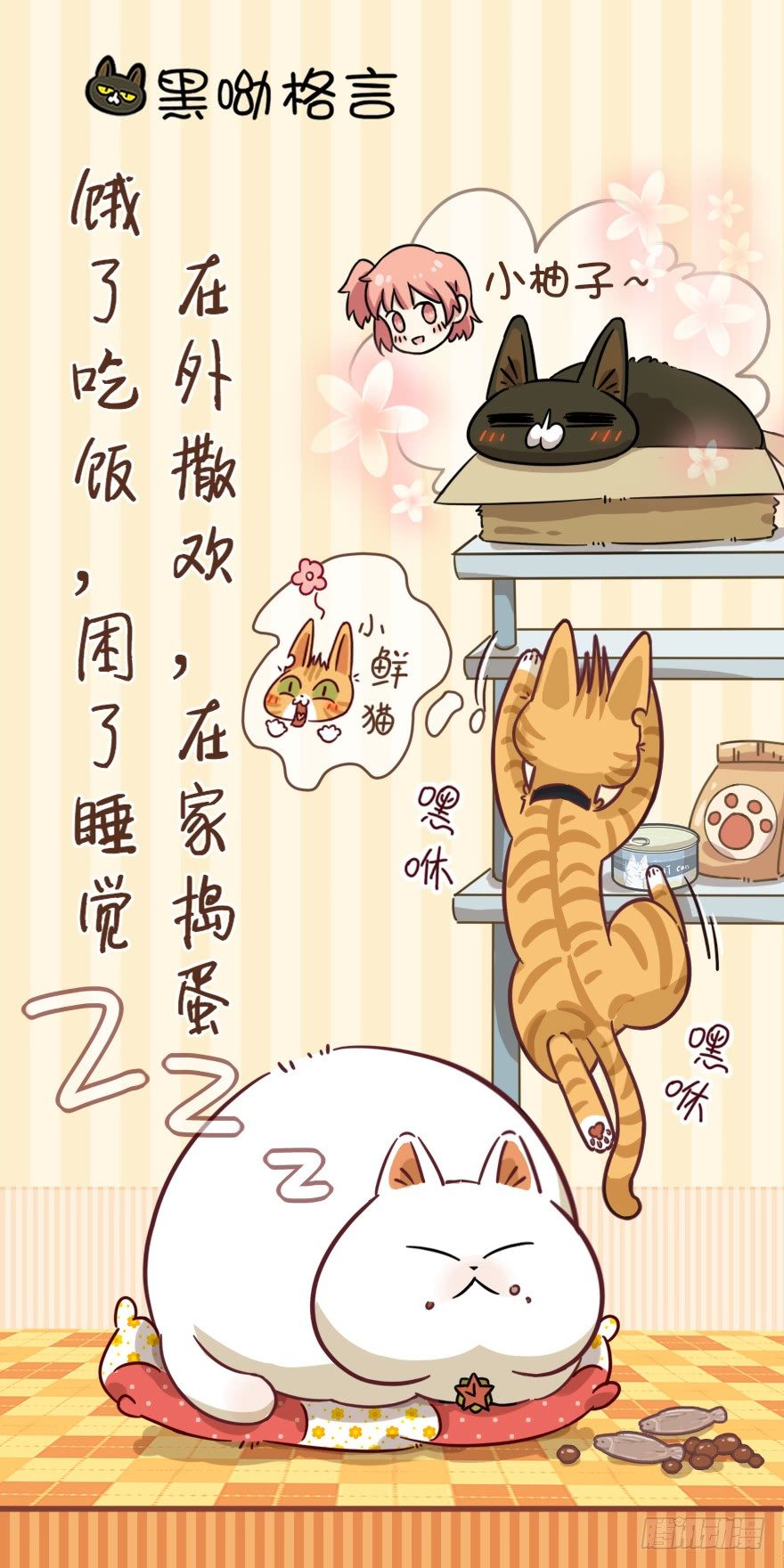 第18爪 猫生赢家（下）-第18话