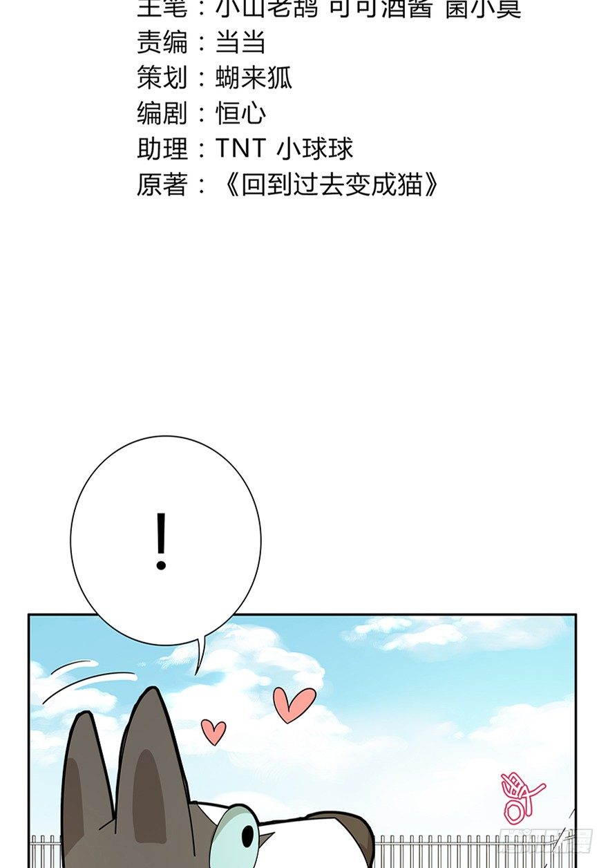 第18爪 猫生赢家（下）-第18话