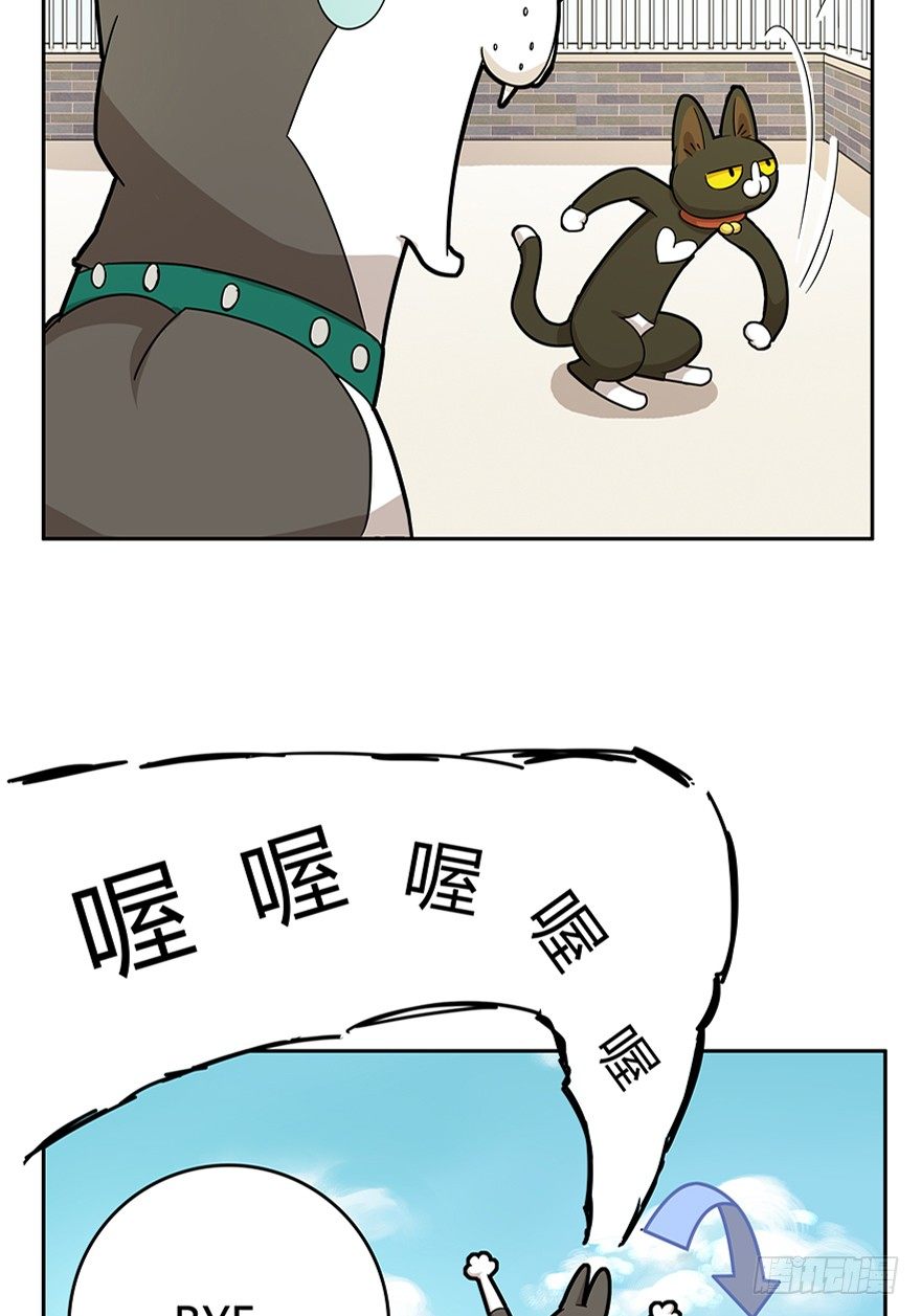 第18爪 猫生赢家（下）-第18话