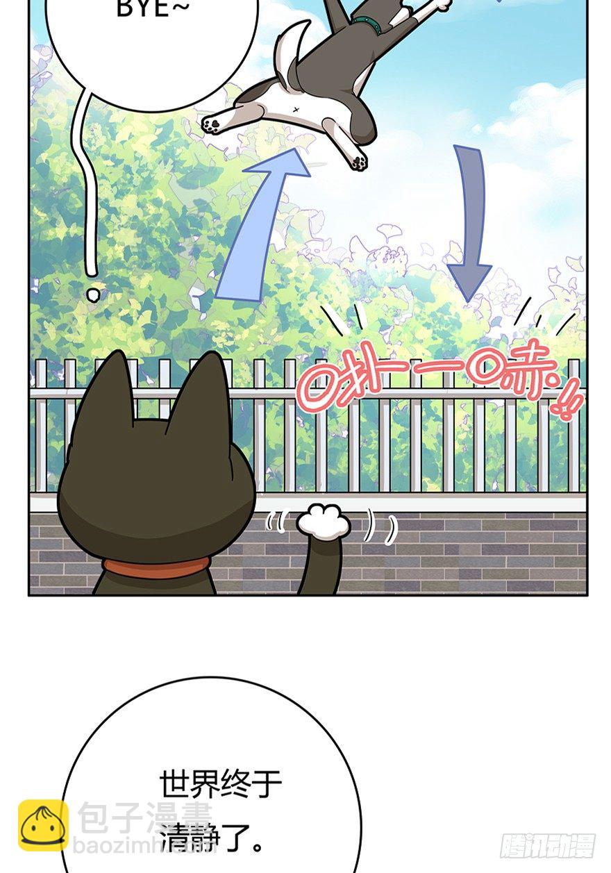 第18爪 猫生赢家（下）-第18话