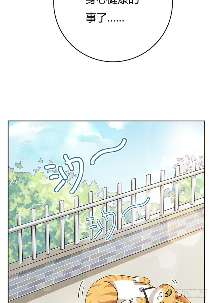 第18爪 猫生赢家（下）-第18话