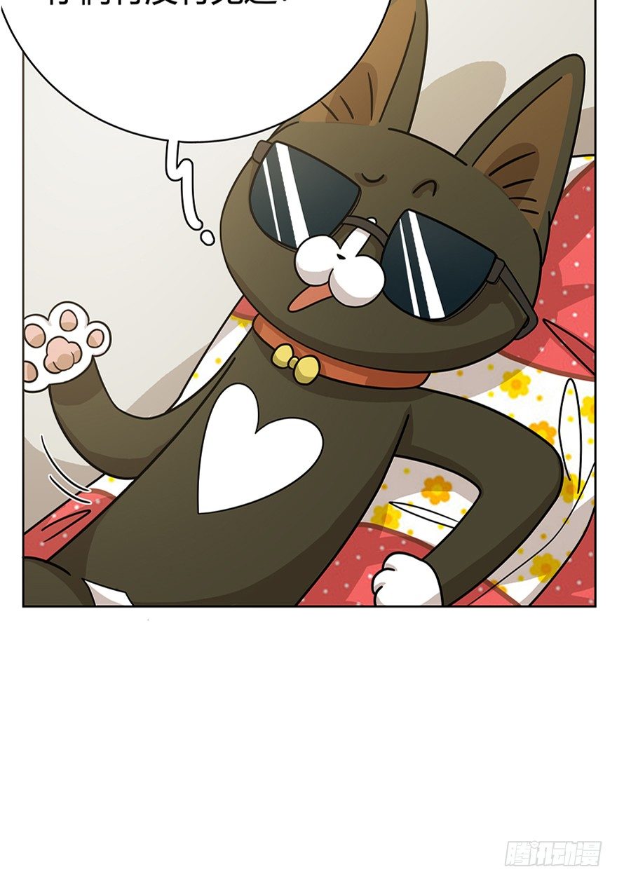 第18爪 猫生赢家（下）-第18话