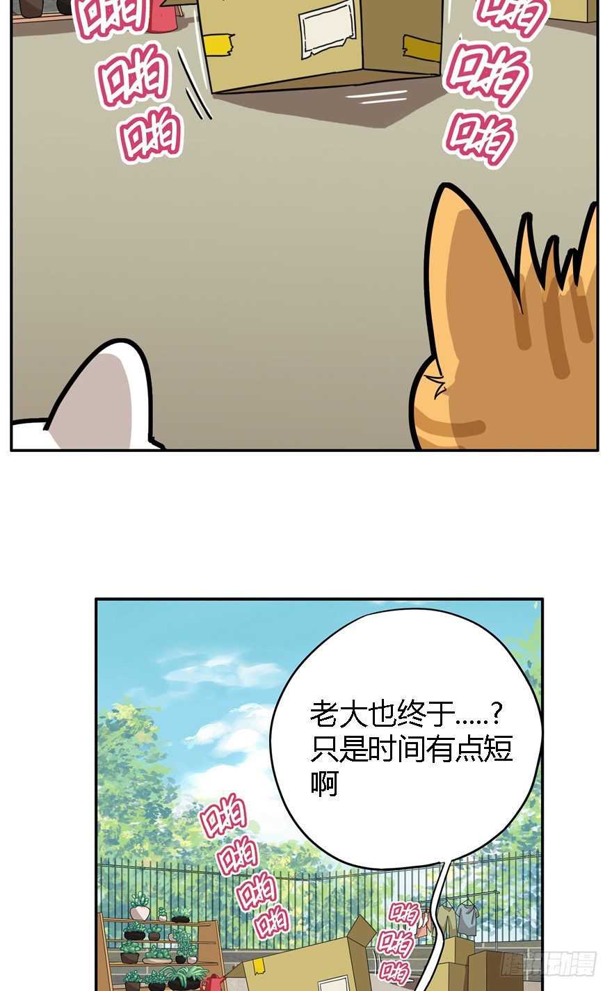 第24爪 &ldquo;美好&rdquo;的季节-第24话