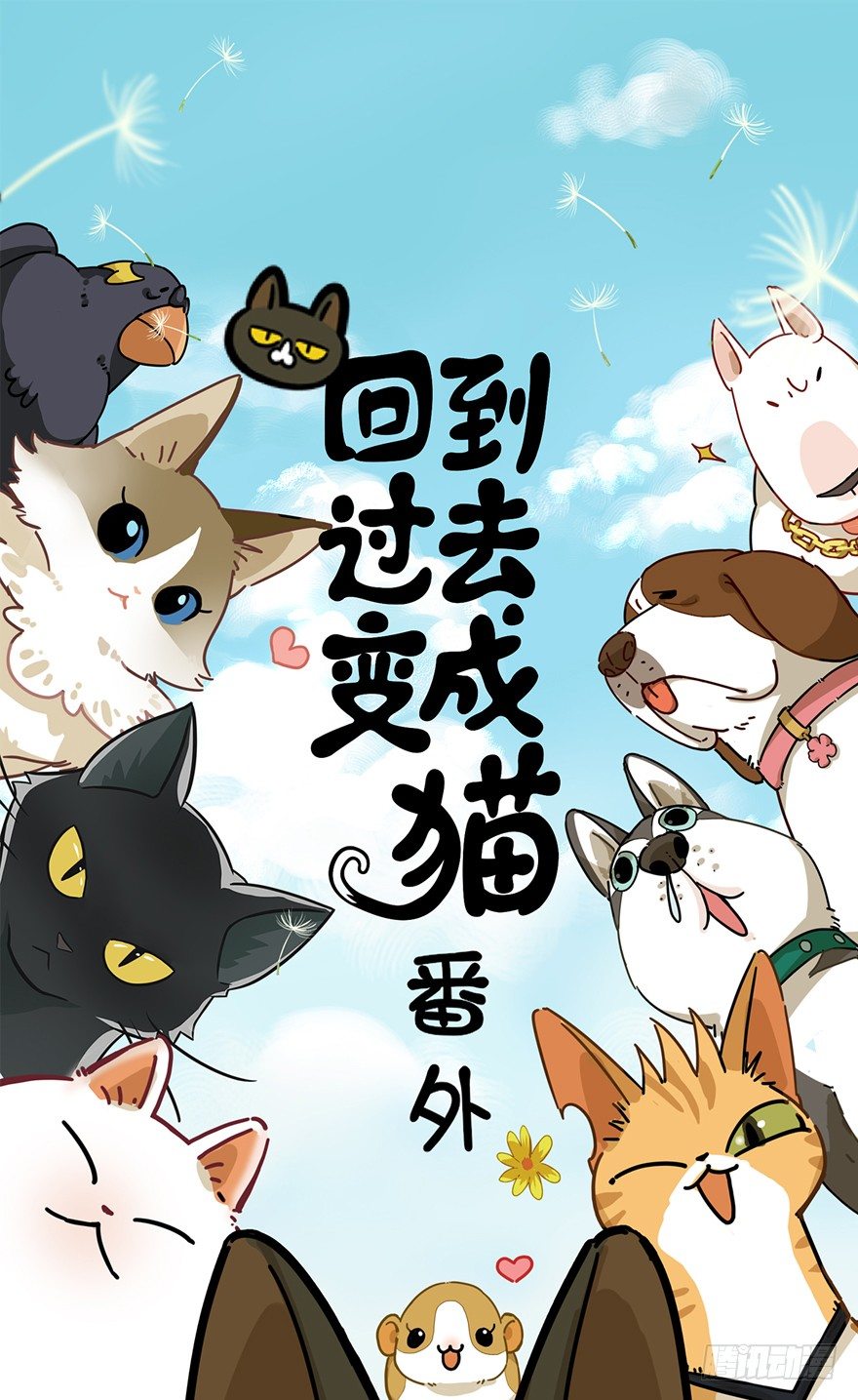 第28爪 猫圈鄙视链（上）-第28话