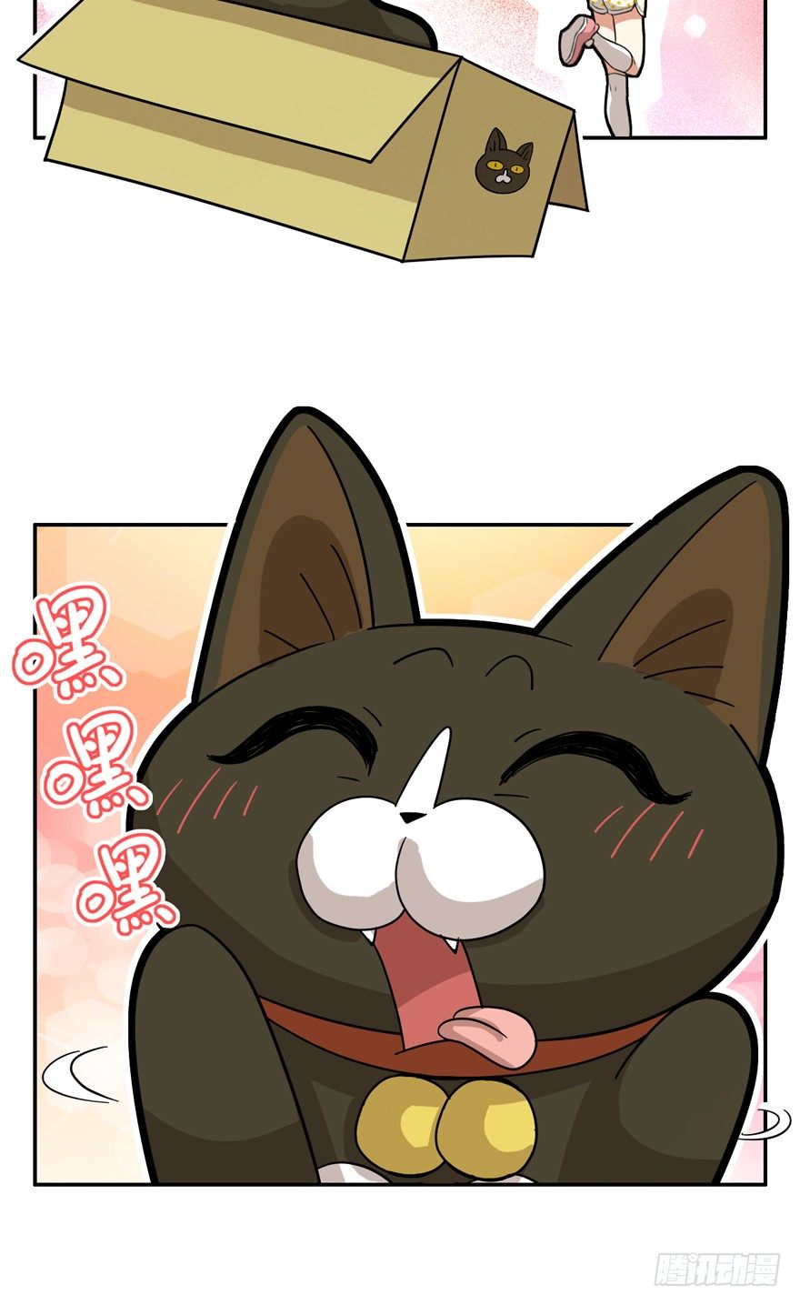 第28爪 猫圈鄙视链（上）-第28话