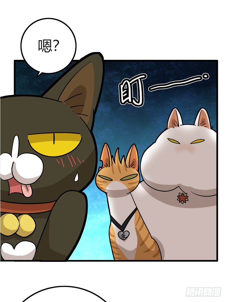 第28爪 猫圈鄙视链（上）-第28话