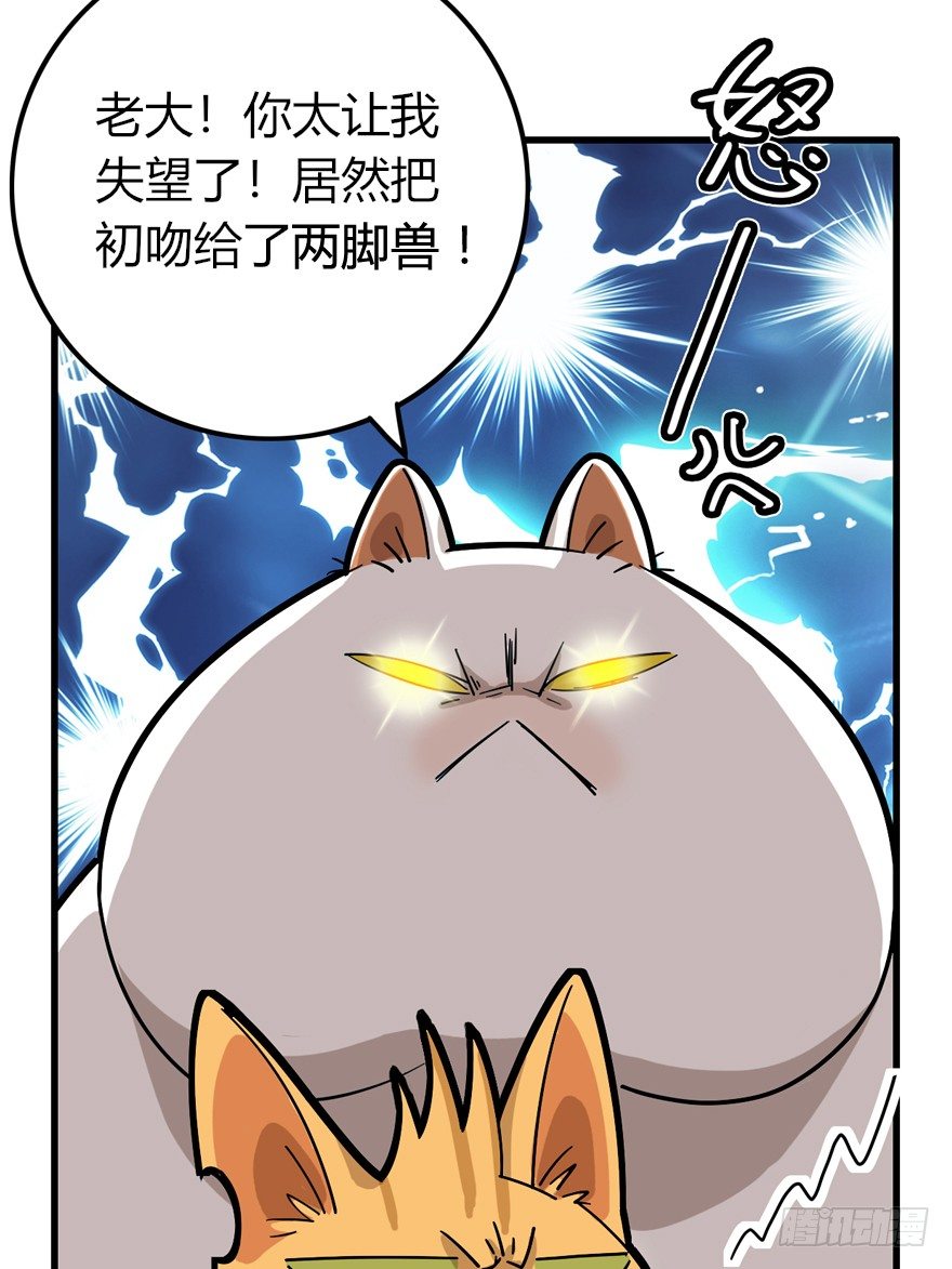 第28爪 猫圈鄙视链（上）-第28话