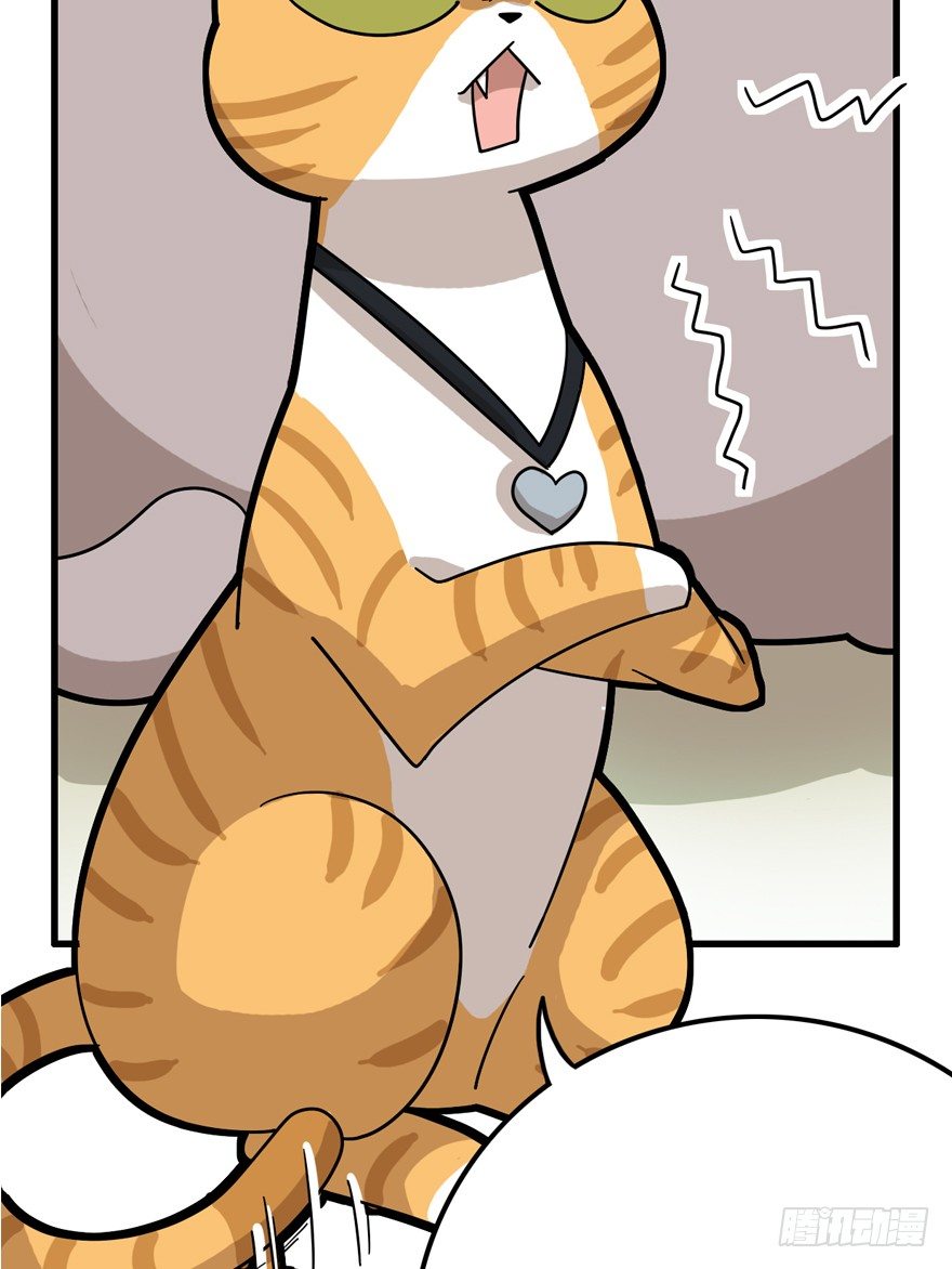 第28爪 猫圈鄙视链（上）-第28话