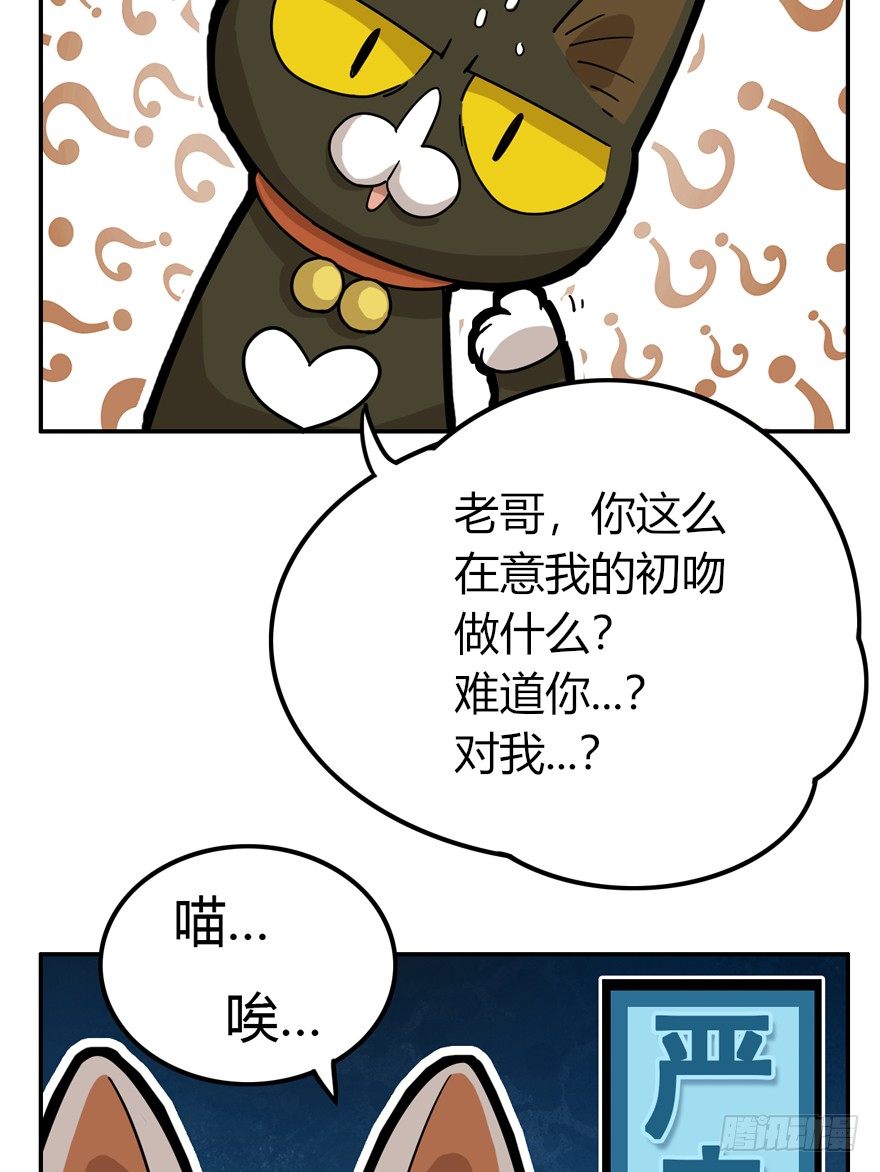 第28爪 猫圈鄙视链（上）-第28话
