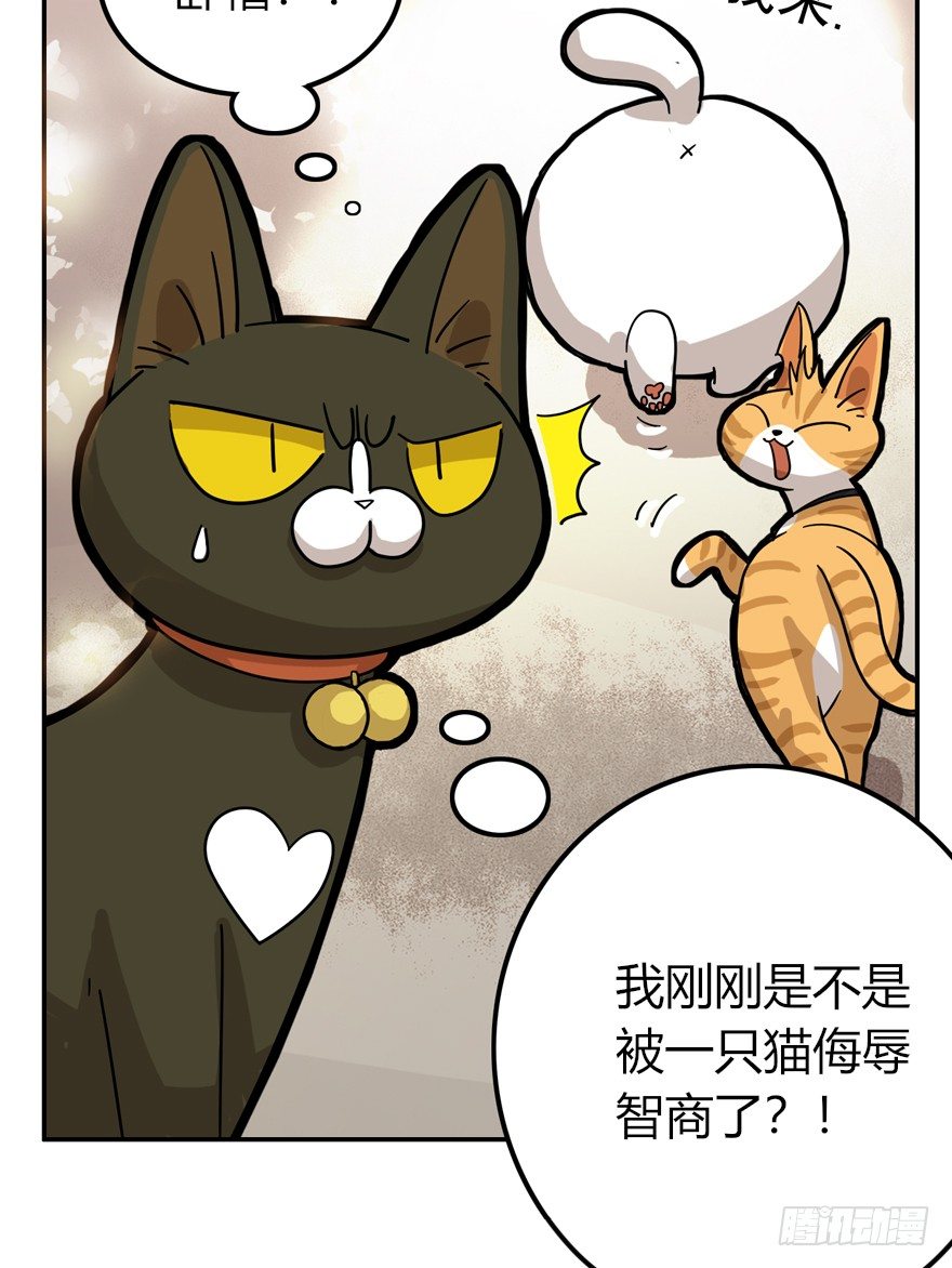 第28爪 猫圈鄙视链（上）-第28话