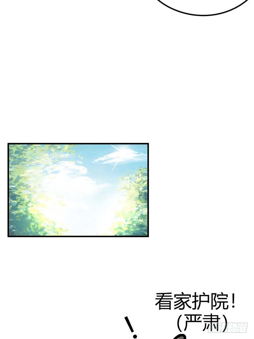 第28爪 猫圈鄙视链（上）-第28话
