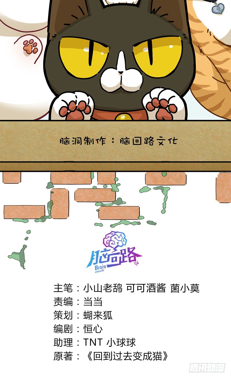 第28爪 猫圈鄙视链（上）-第28话
