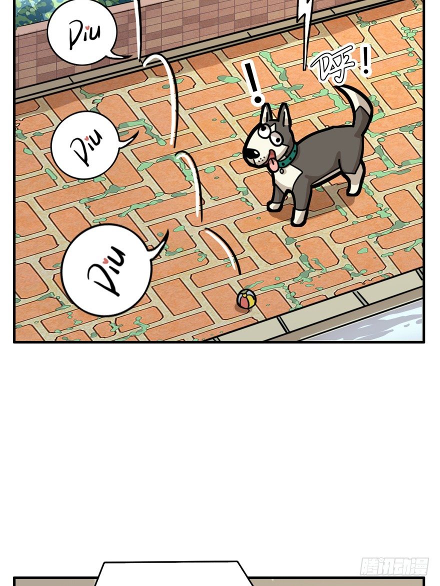 第28爪 猫圈鄙视链（上）-第28话