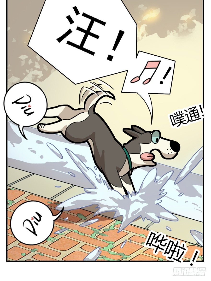 第28爪 猫圈鄙视链（上）-第28话