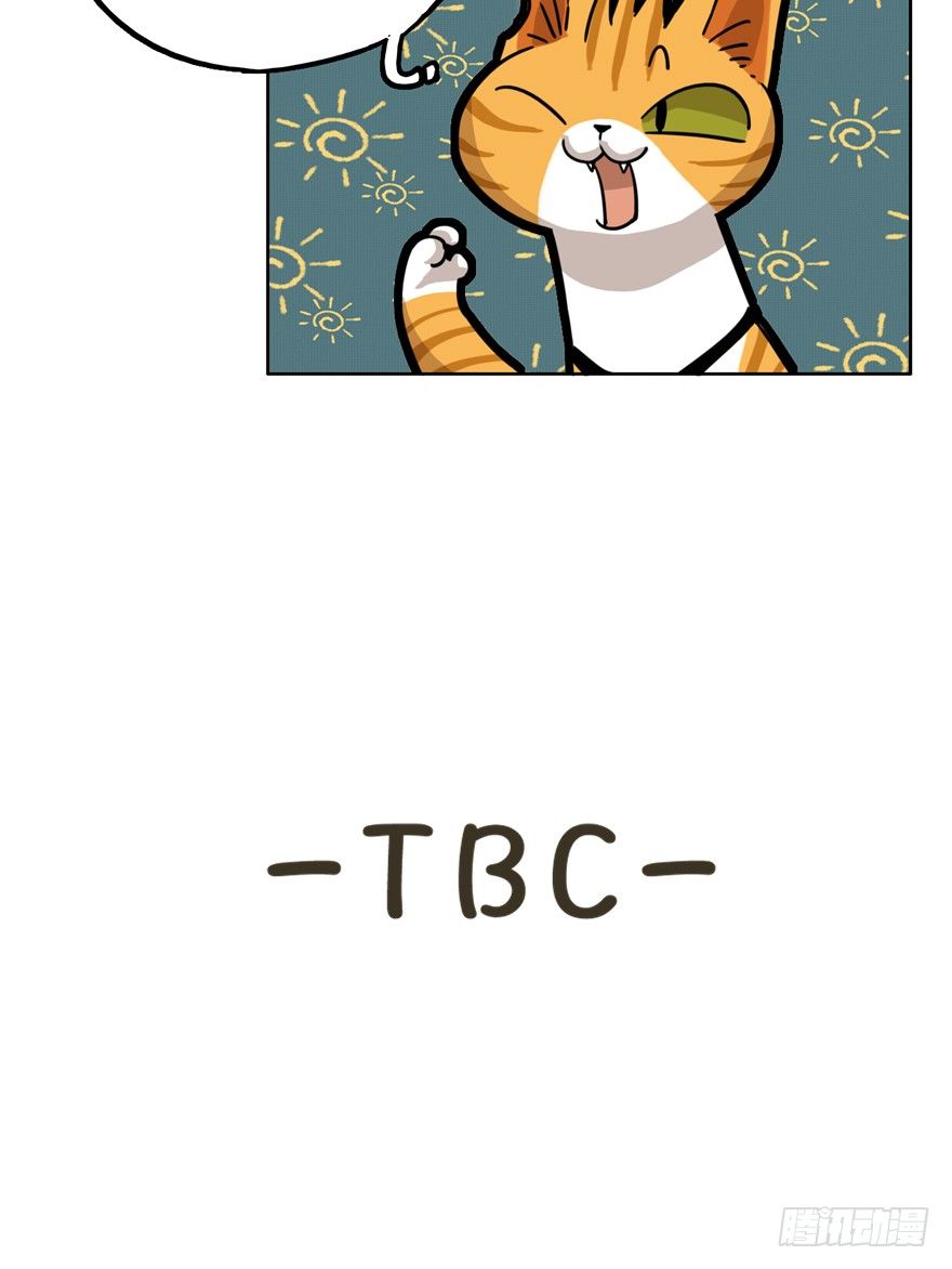 第28爪 猫圈鄙视链（上）-第28话