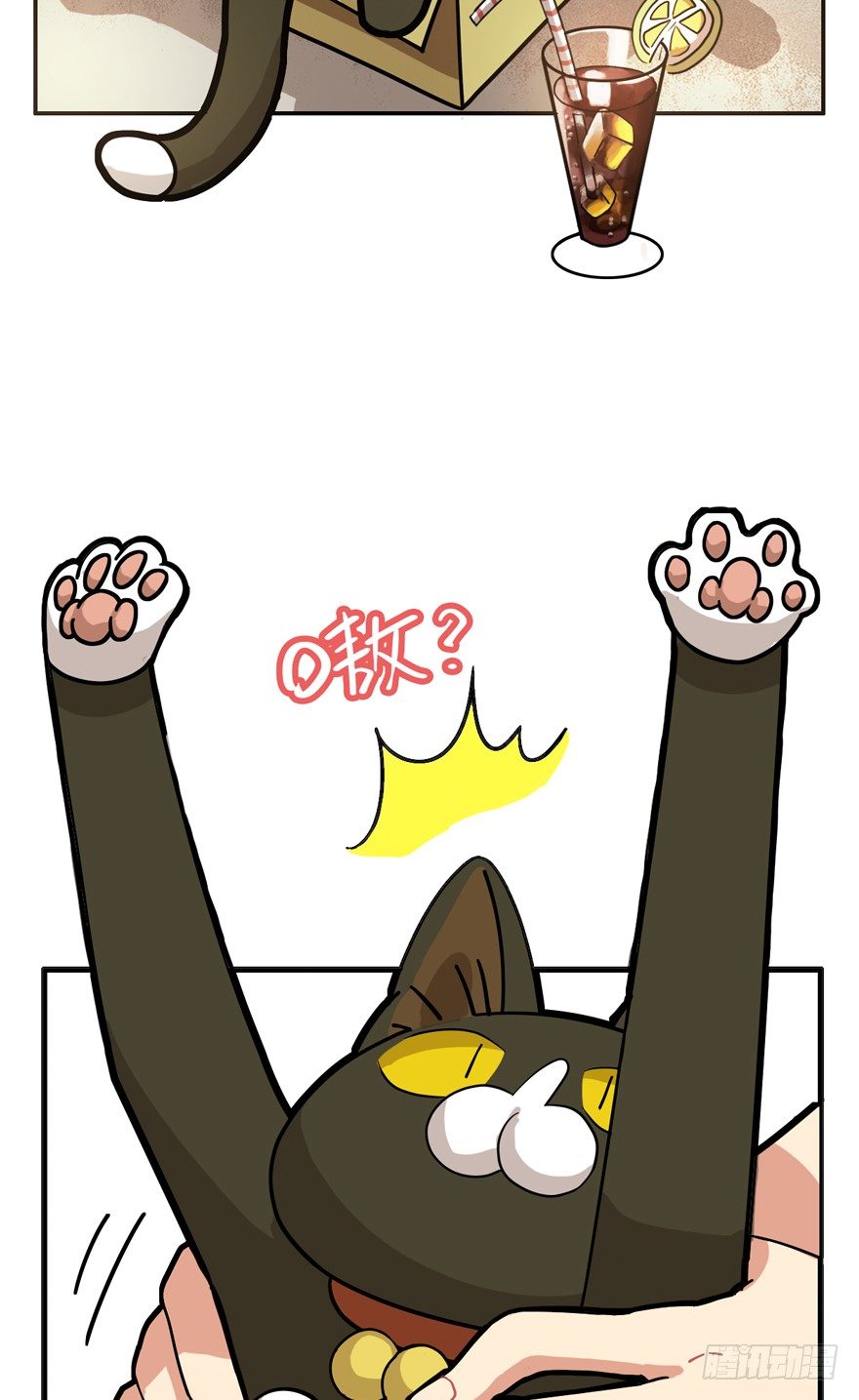 第28爪 猫圈鄙视链（上）-第28话