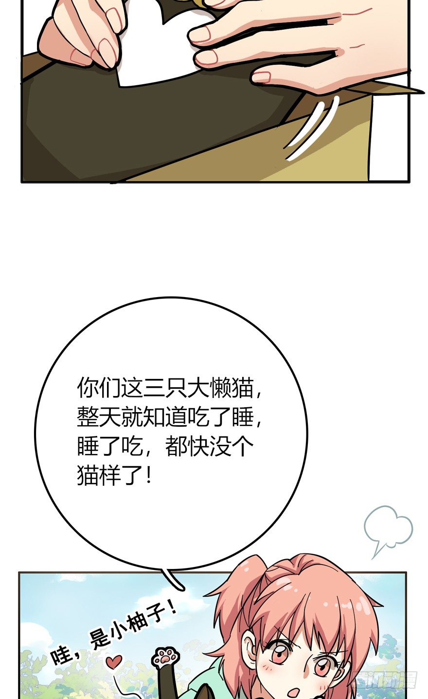 第28爪 猫圈鄙视链（上）-第28话