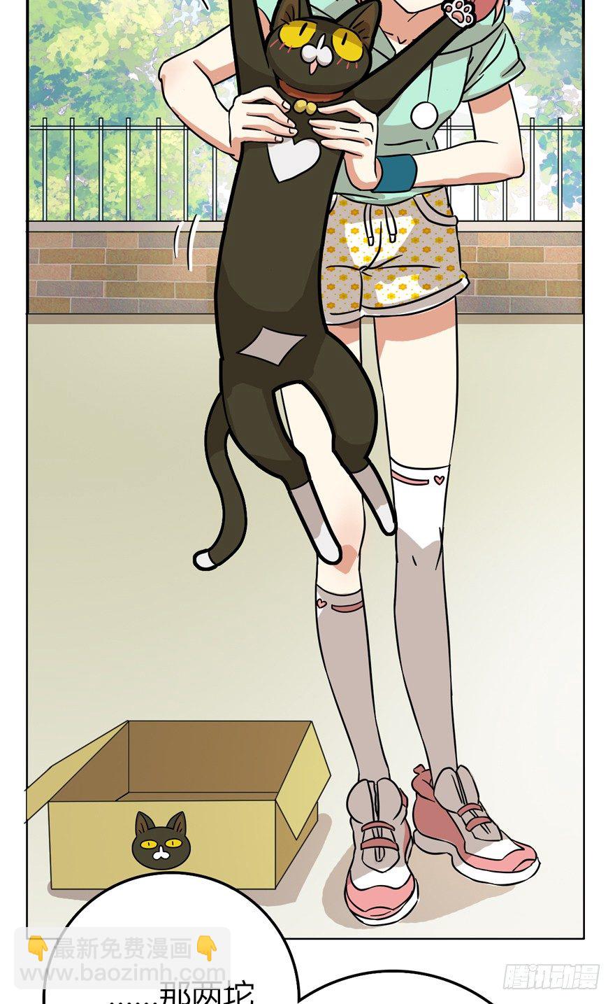 第28爪 猫圈鄙视链（上）-第28话