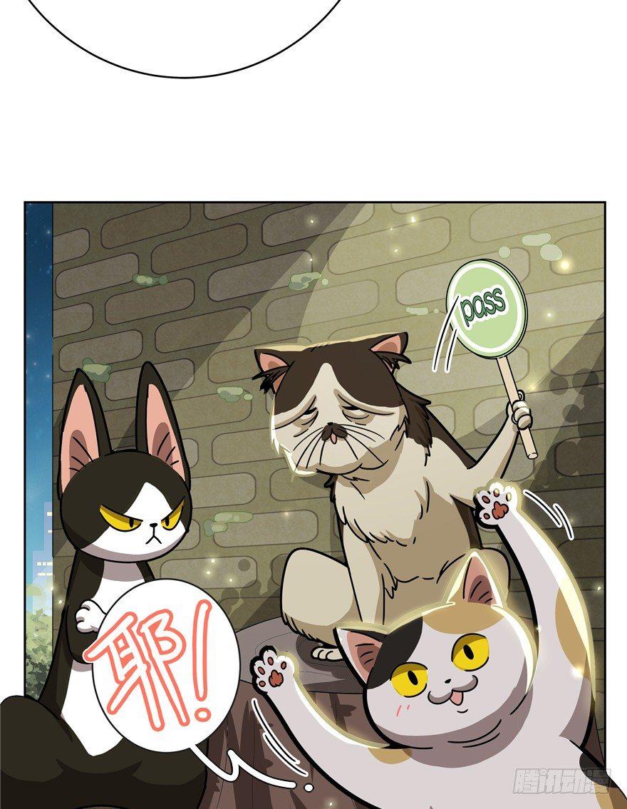 第30爪 番外 黑炭称王-第30话