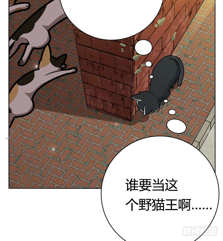 第30爪 番外 黑炭称王-第30话