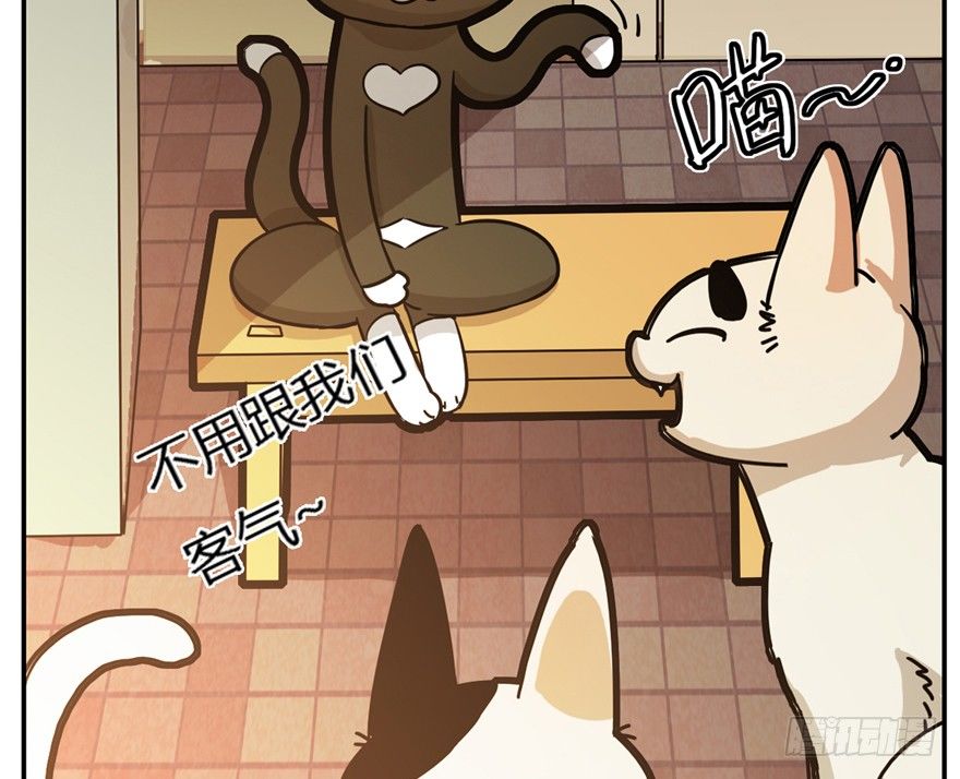 第4爪 香！真香！-第4话